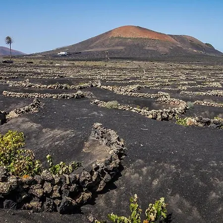Vila Sleeps 8 With Pool And Hot Tub Conil